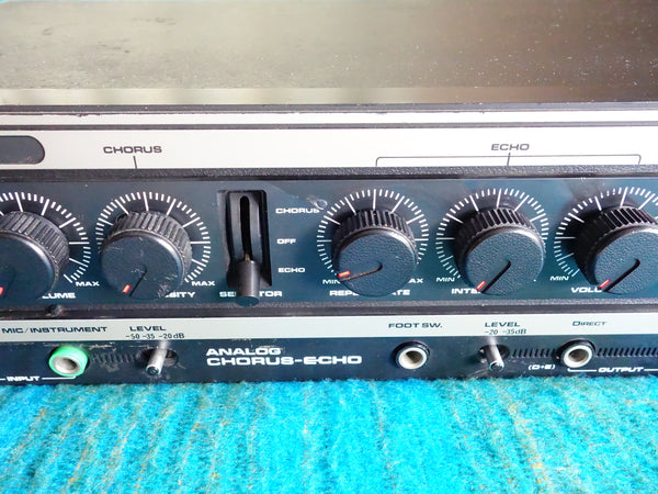 Roland DC-30 Analog Chorus Echo - 80's Chorus Delay - Serviced - H115