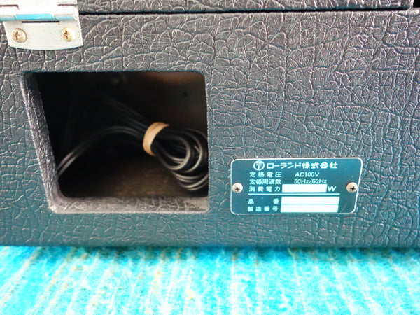 Roland RE-201 Space Echo - 1980 Model - Serviced / Recapped - J094