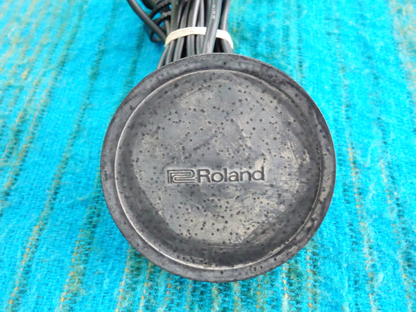 Roland FS-1 Space Echo Foot Switch - 70's Original - K054