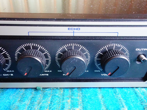 Roland DC-20 Analog Echo - 80's Vintage Analog Delay w/ MN3005 BBD Chip - G130