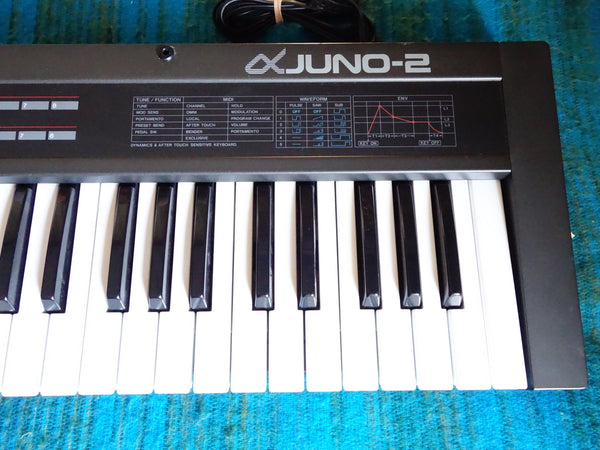 Roland Alpha Juno-2 Synthesizer - Serviced / Power Board Recapped - G181