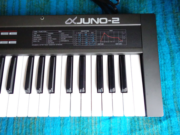Roland Alpha Juno-2 Analog Polyphonic Synthesizer - 80's Vintage JU-2 - F191